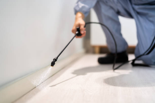 Licensed Pest Control service in Parkersburg, IA - Show Me Pest Control