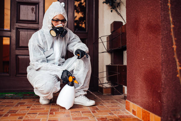 Reliable Wasp Removal contractor in Parkersburg, IA by Show Me Pest Control